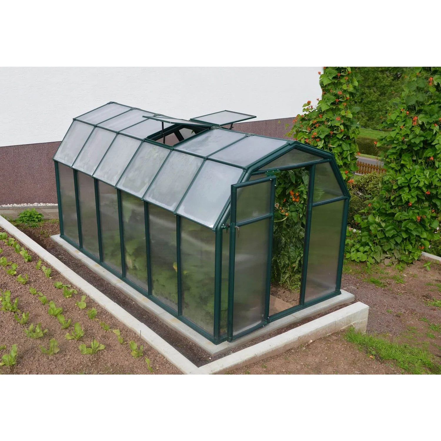 Palram - Canopia Eco Grow Greenhouse 6X12 Green 6 Palram - Canopia Eco Grow Greenhouse 6X12 Green - Image 4
