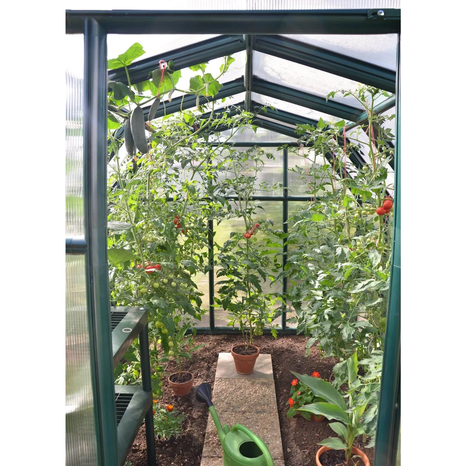 Palram - Canopia Eco Grow Greenhouse 6X12 Green 7 Palram - Canopia Eco Grow Greenhouse 6X12 Green - Image 5