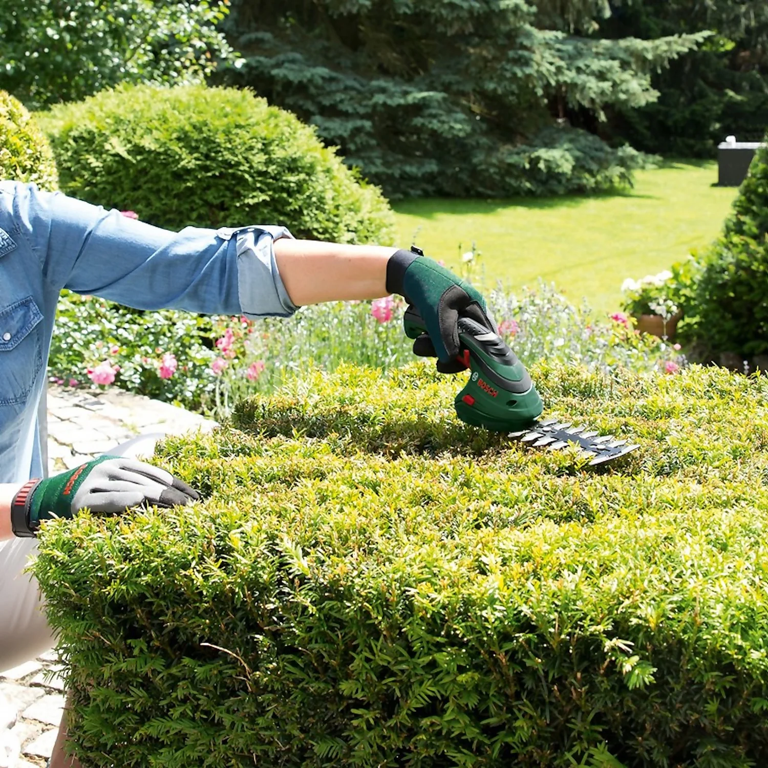 Bosch Isio III Cordless Shrub Shear 9 Bosch Isio III Cordless Shrub Shear - Image 7