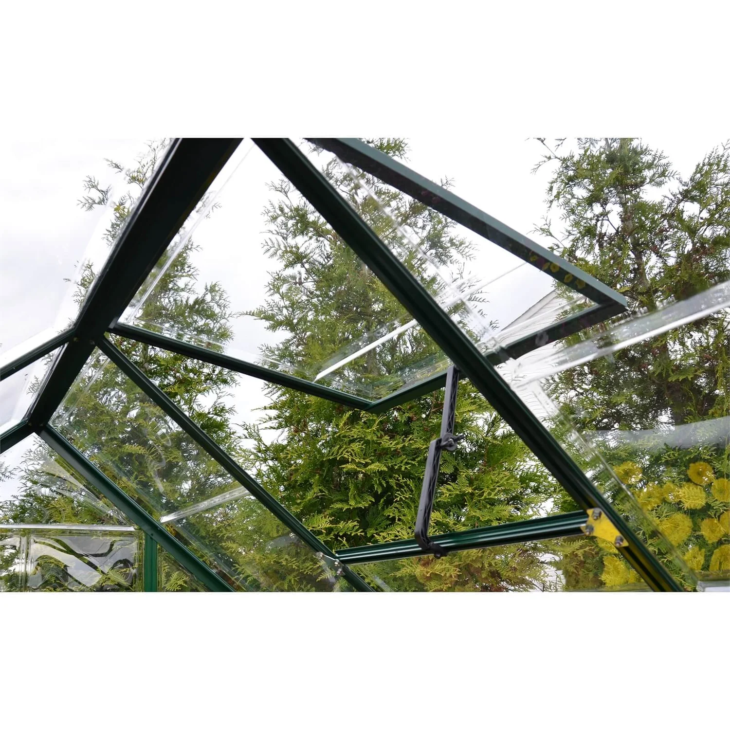 Palram 6 X 8ft Canopia Harmony Greenhouse - Green 9 Palram 6 X 8ft Canopia Harmony Greenhouse - Green - Image 7