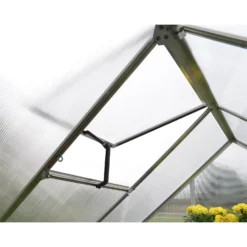 Palram 6 X 8ft Canopia Mythos Greenhouse - Silver -Garden Care Specialty Shop 12810591 2754833169469004