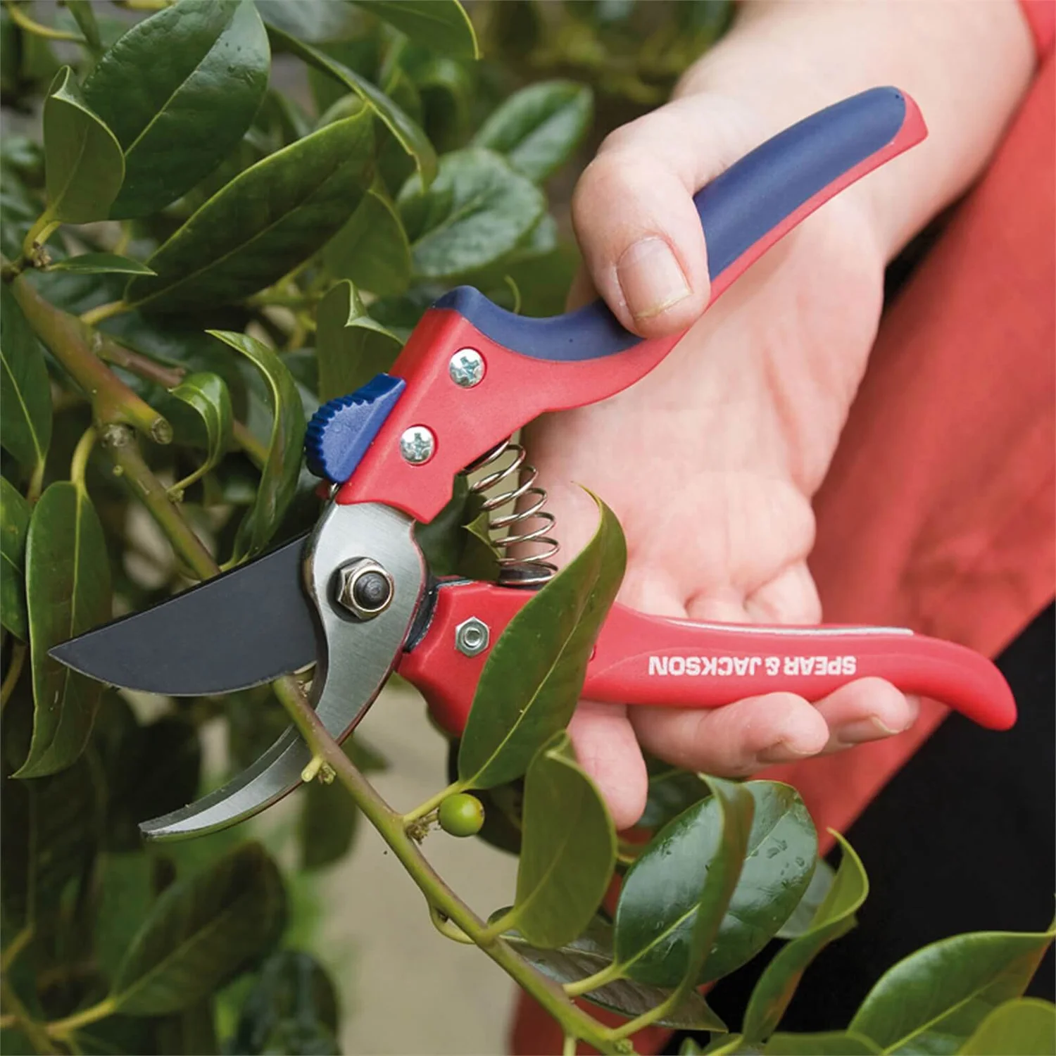 Spear & Jackson Razorsharp Bypass Secateurs 4 Spear & Jackson Razorsharp Bypass Secateurs - Image 2