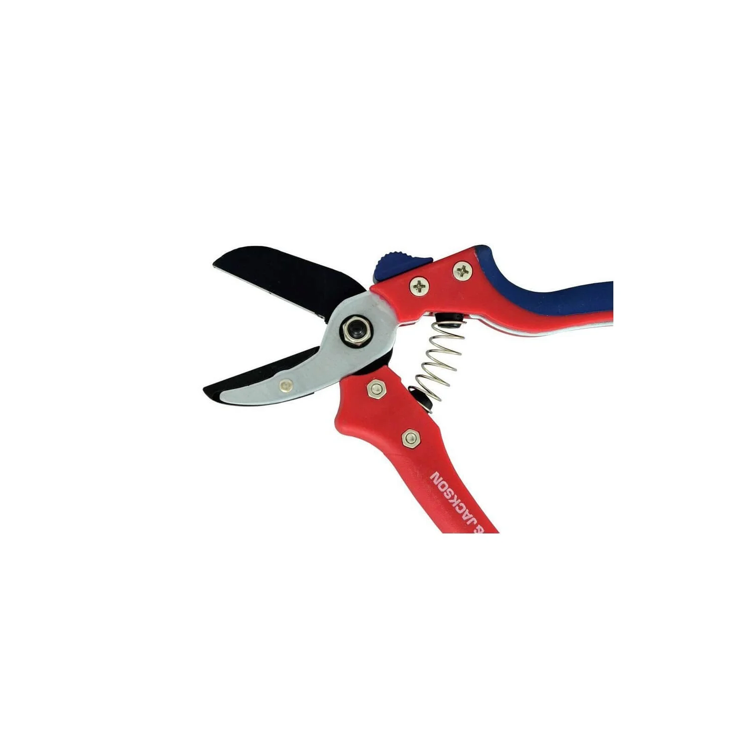 Spear & Jackson Razorsharp Medium Anvil Secateurs 7 Spear & Jackson Razorsharp Medium Anvil Secateurs - Image 5