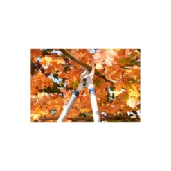Spear & Jackson Razorsharp Tele Bypass Lopper 14 Spear & Jackson Razorsharp Tele Bypass Lopper -Garden Care Specialty Shop 12810811 1464833196929633