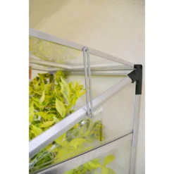 Palram - Canopia Lean To Grow House 4X2 Silver Clear -Garden Care Specialty Shop 12810857 1844833199970706