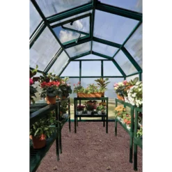 Palram 6 X 6ft Canopia Eco Grow Greenhouse - Green 13 Palram 6 X 6ft Canopia Eco Grow Greenhouse - Green -Garden Care Specialty Shop 12810863 1944833197156811