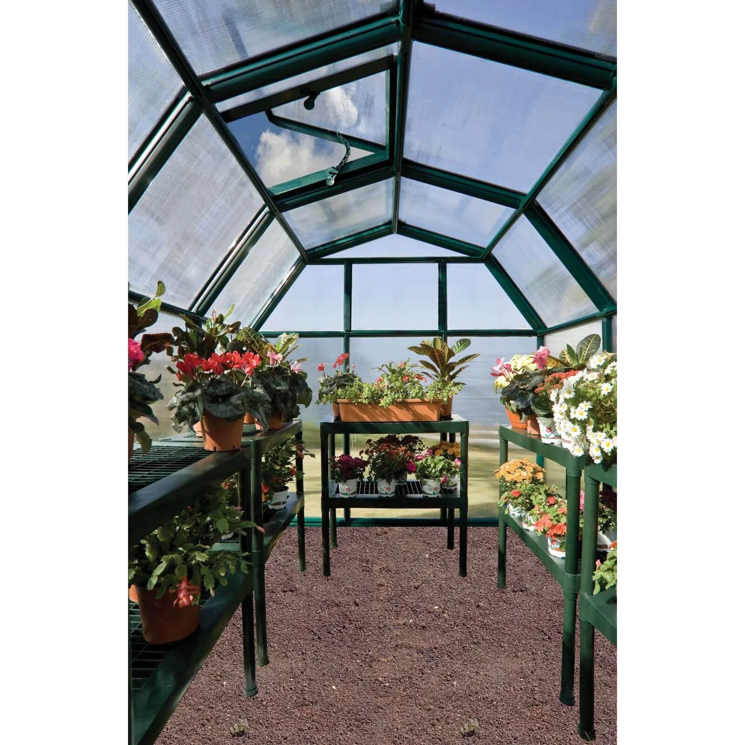 Palram 6 X 6ft Canopia Eco Grow Greenhouse - Green 6 Palram 6 X 6ft Canopia Eco Grow Greenhouse - Green - Image 4