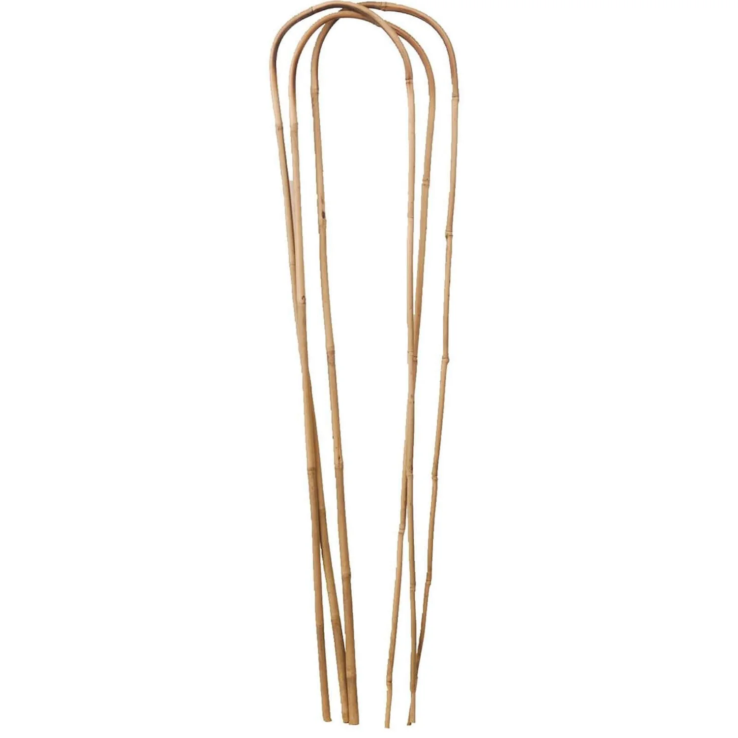 Garden Bamboo Loop Support - 1200mm 3 Garden Bamboo Loop Support - 1200mm