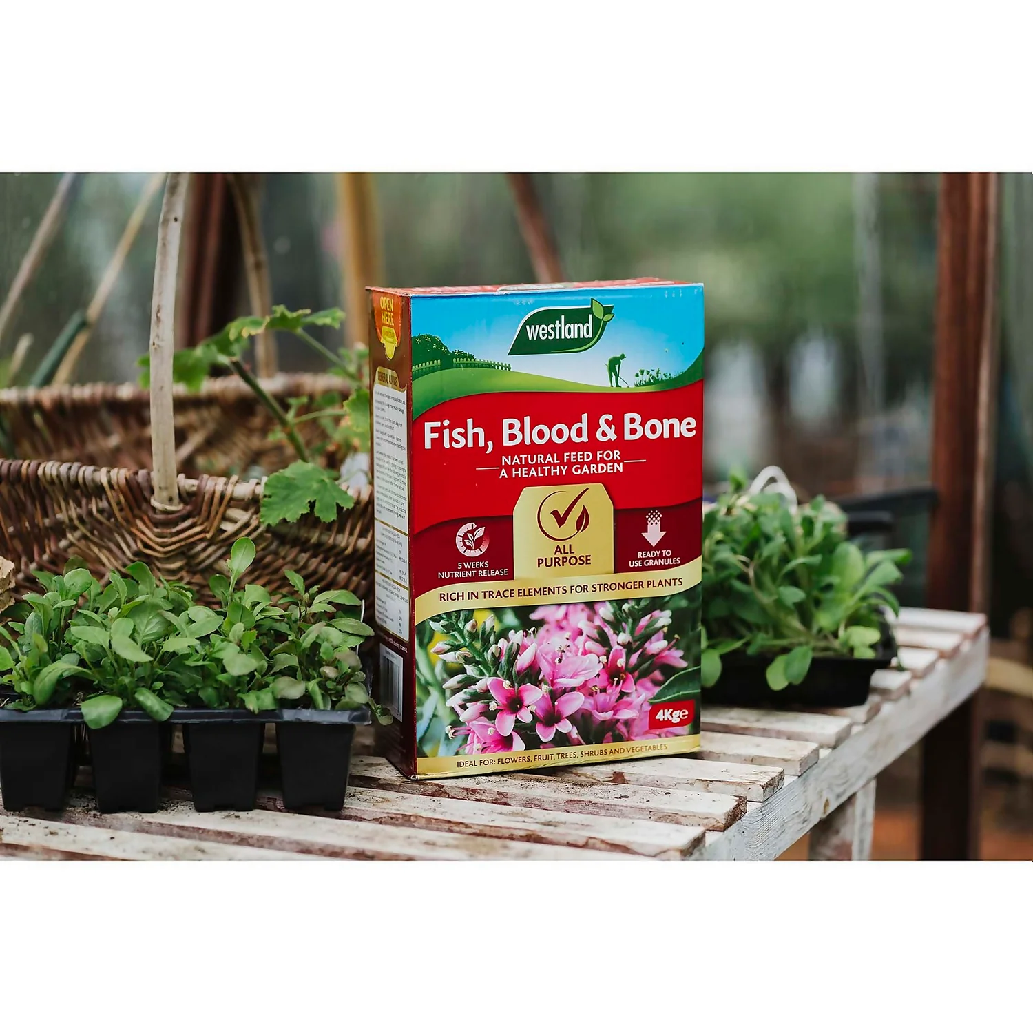 Westland Fish, Blood And Bone All Purpose Plant Food - 4kg 4 Westland Fish, Blood And Bone All Purpose Plant Food - 4kg - Image 2