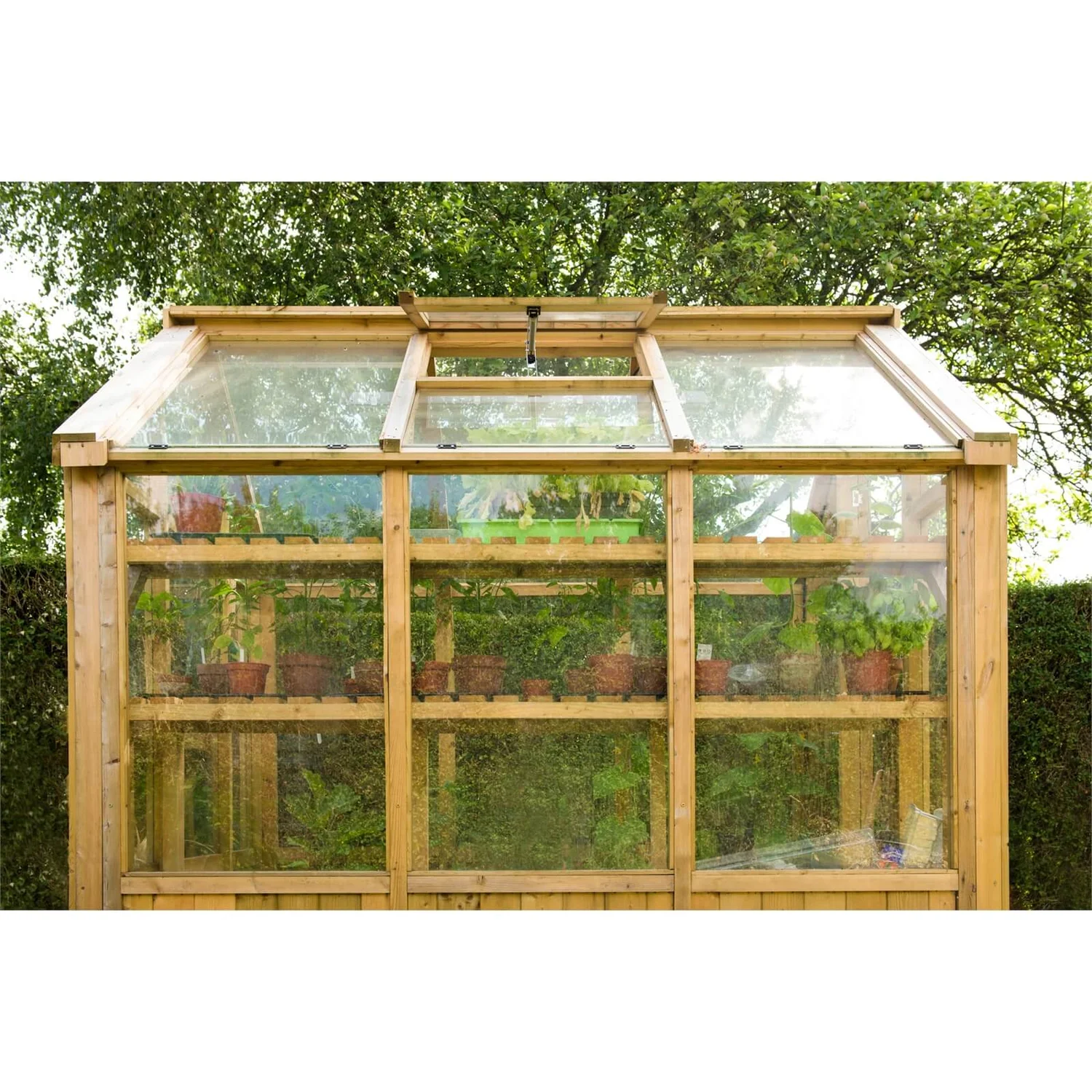 Forest 8 X 6ft Vale Greenhouse - Installation Included 4 Forest 8 X 6ft Vale Greenhouse - Installation Included - Image 2