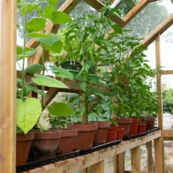 Forest 8 X 6ft Vale Greenhouse - Installation Included 10 Forest 8 X 6ft Vale Greenhouse - Installation Included -Garden Care Specialty Shop 12823847 1804833220458030