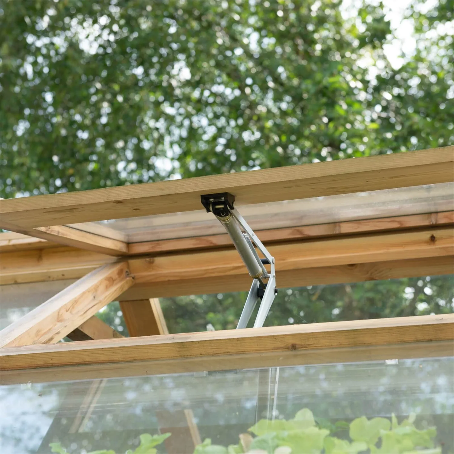 Forest 8 X 6ft Vale Greenhouse - Installation Included 6 Forest 8 X 6ft Vale Greenhouse - Installation Included - Image 4