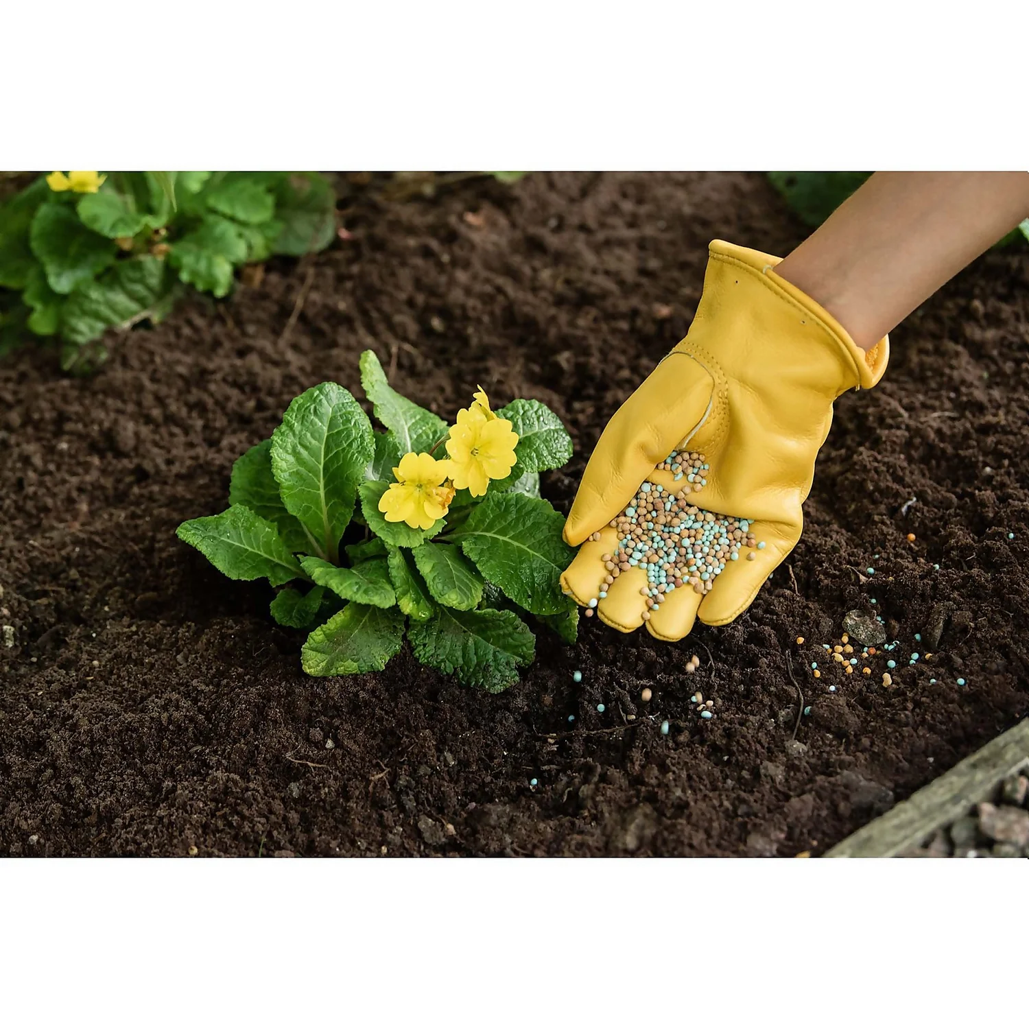 Gro-Sure 6 Month Slow Release Plant Food 1.1kg 4 Gro-Sure 6 Month Slow Release Plant Food 1.1kg - Image 2