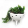 Trailing Plant In White Pot With Legs -Garden Care Specialty Shop 12833718 6054831603897446