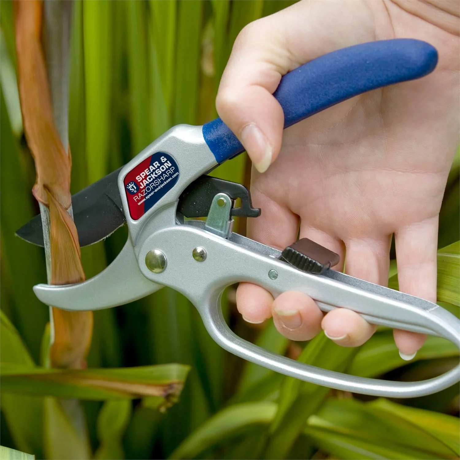 Spear & Jackson Razorsharp Secateurs With Loop Handle 4 Spear & Jackson Razorsharp Secateurs With Loop Handle - Image 2