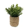 Milan Leaves In Rattan Basket -Garden Care Specialty Shop 12837624 1174831968703122