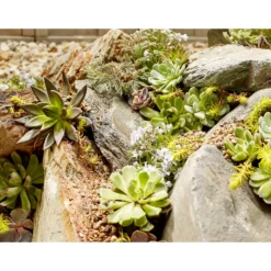 Stylish Stone Rustic Slate Rockery 19 Stylish Stone Rustic Slate Rockery -Garden Care Specialty Shop 12875997 6334849696657587