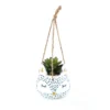 Novelty Animal Hanging Planter - Fox -Garden Care Specialty Shop 12879281 1174843708807350