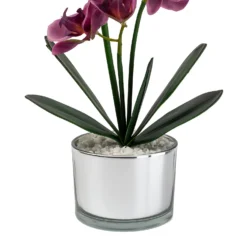 Orchid With Silver Glass Pot - Purple -Garden Care Specialty Shop 12879285 1054864281948609