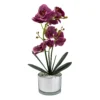 Orchid With Silver Glass Pot - Purple -Garden Care Specialty Shop 12879285 1854864281873732