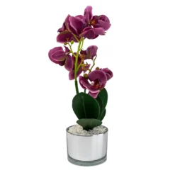 Orchid With Silver Glass Pot - Purple -Garden Care Specialty Shop 12879285 4804864281923592