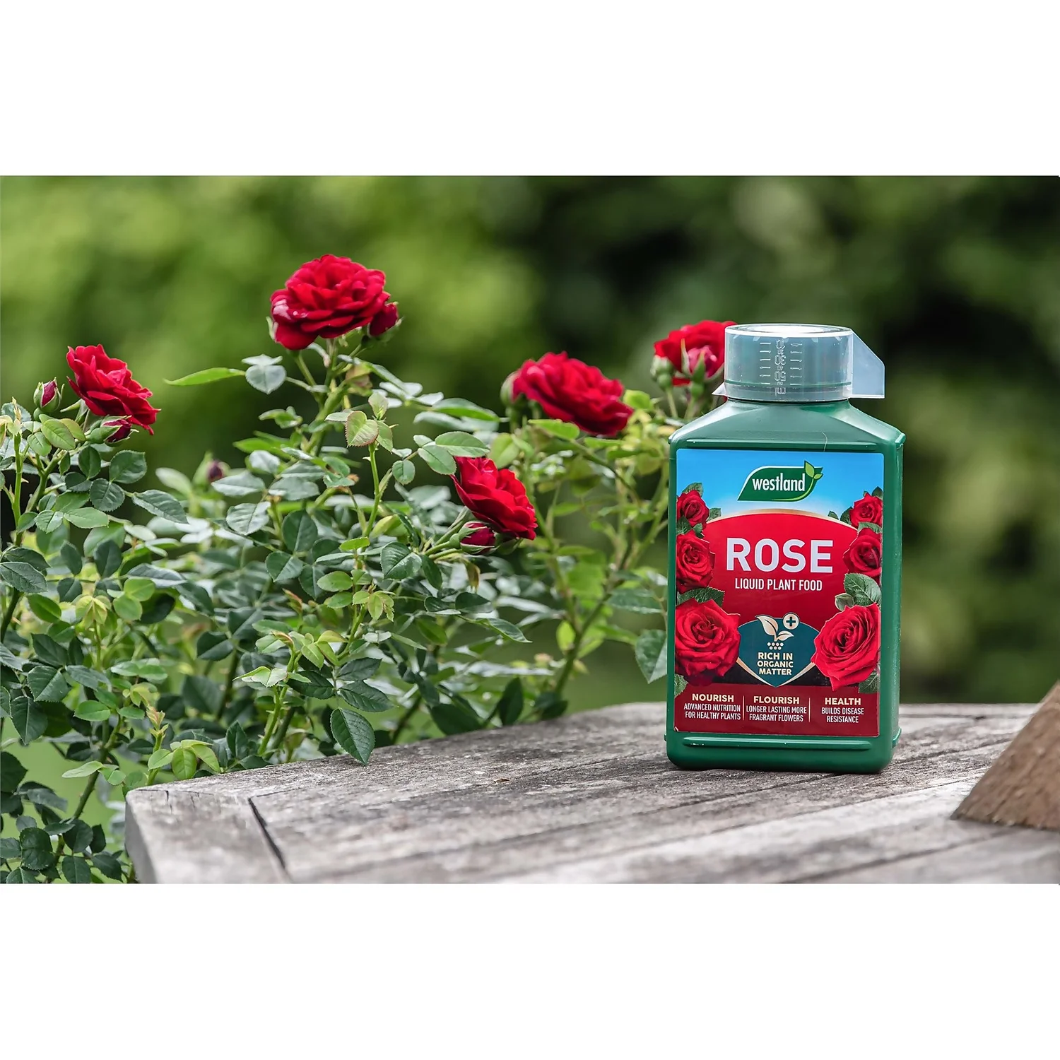 Westland Rose Specialist Liquid Plant Food Concentrate - 1l 5 Westland Rose Specialist Liquid Plant Food Concentrate - 1l - Image 3