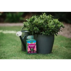 Westland Ericaceous Specialist Feed - 1l -Garden Care Specialty Shop 12886482 6714971590616774