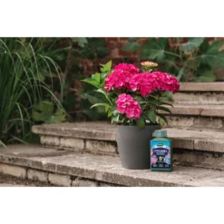 Westland Hydrangea Feed - 1l -Garden Care Specialty Shop 12886486 5014971590603901