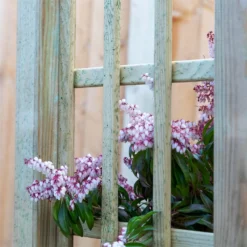 Mercia Curved Arch -Garden Care Specialty Shop 12888302 6134849860614286