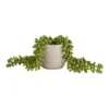 House Beautiful String Of Pearls In Ceramic Pot 1 House Beautiful String Of Pearls In Ceramic Pot -Garden Care Specialty Shop 12890040 1854882114529067