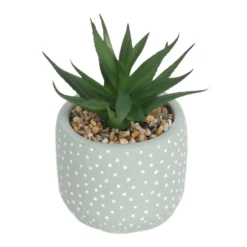 Small Succulent - Green -Garden Care Specialty Shop 12909501 2324869235513857
