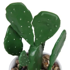 Cactus In Abstract Pot -Garden Care Specialty Shop 12909502 1344869235594629