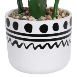 Cactus In Abstract Pot -Garden Care Specialty Shop 12909502 2064869235687110