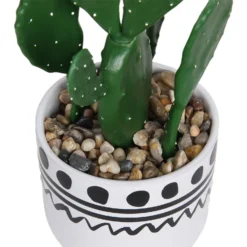 Cactus In Abstract Pot -Garden Care Specialty Shop 12909502 2094869235640256