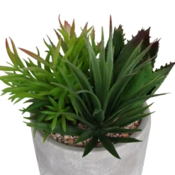 Mixed Succulent In Grey Pot -Garden Care Specialty Shop 12909503 1064869235639350