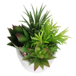 Mixed Succulent In Grey Pot -Garden Care Specialty Shop 12909503 2024869235594281