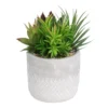 Mixed Succulent In Grey Pot -Garden Care Specialty Shop 12909503 7774869235513008