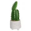 Cactus In Textured Pot -Garden Care Specialty Shop 12909506 1524869235473324