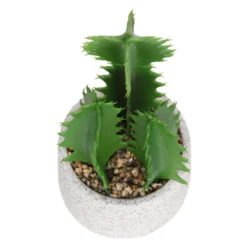 Cactus In Textured Pot -Garden Care Specialty Shop 12909506 2804869235539384
