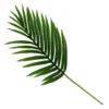 Mini Palm Leaf -Garden Care Specialty Shop 12913558 1824845851861505