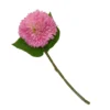 Chrysanthemum - Pink -Garden Care Specialty Shop 12913572 3884845852146043