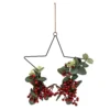 Hanging Star With Foliage And Berries -Garden Care Specialty Shop 13027994 1864893782771937
