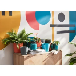 Garden Care Specialty Shop -Garden Care Specialty Shop 13229768 6314948236616461