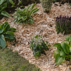 Westland Rustic Wood Chips - 60L 8 Westland Rustic Wood Chips - 60L -Garden Care Specialty Shop 13280769 1564929084866478