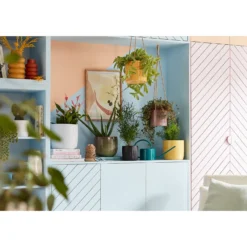 Perla White Plant Pot - 18cm -Garden Care Specialty Shop 13432918 8534948249995939