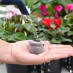 Coco & Coir Seed Germination Dots - 40mm -Garden Care Specialty Shop 13487129 3894919981363337