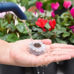 Coco & Coir Seed Germination Dots - 40mm -Garden Care Specialty Shop 13487129 7814919981385408