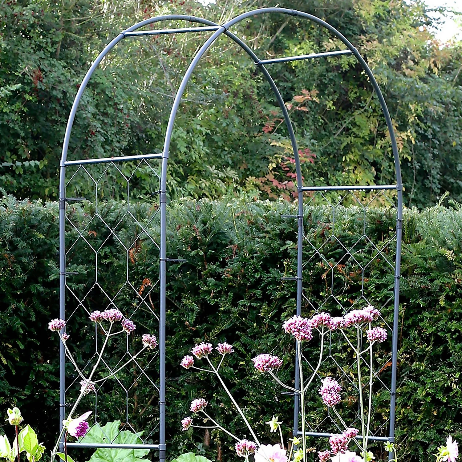 Agriframes Round Garden Arch - (H)2.3 X (W)1.5 X (D)0.45 M - Black 4 Agriframes Round Garden Arch - (H)2.3 X (W)1.5 X (D)0.45 M - Black - Image 2