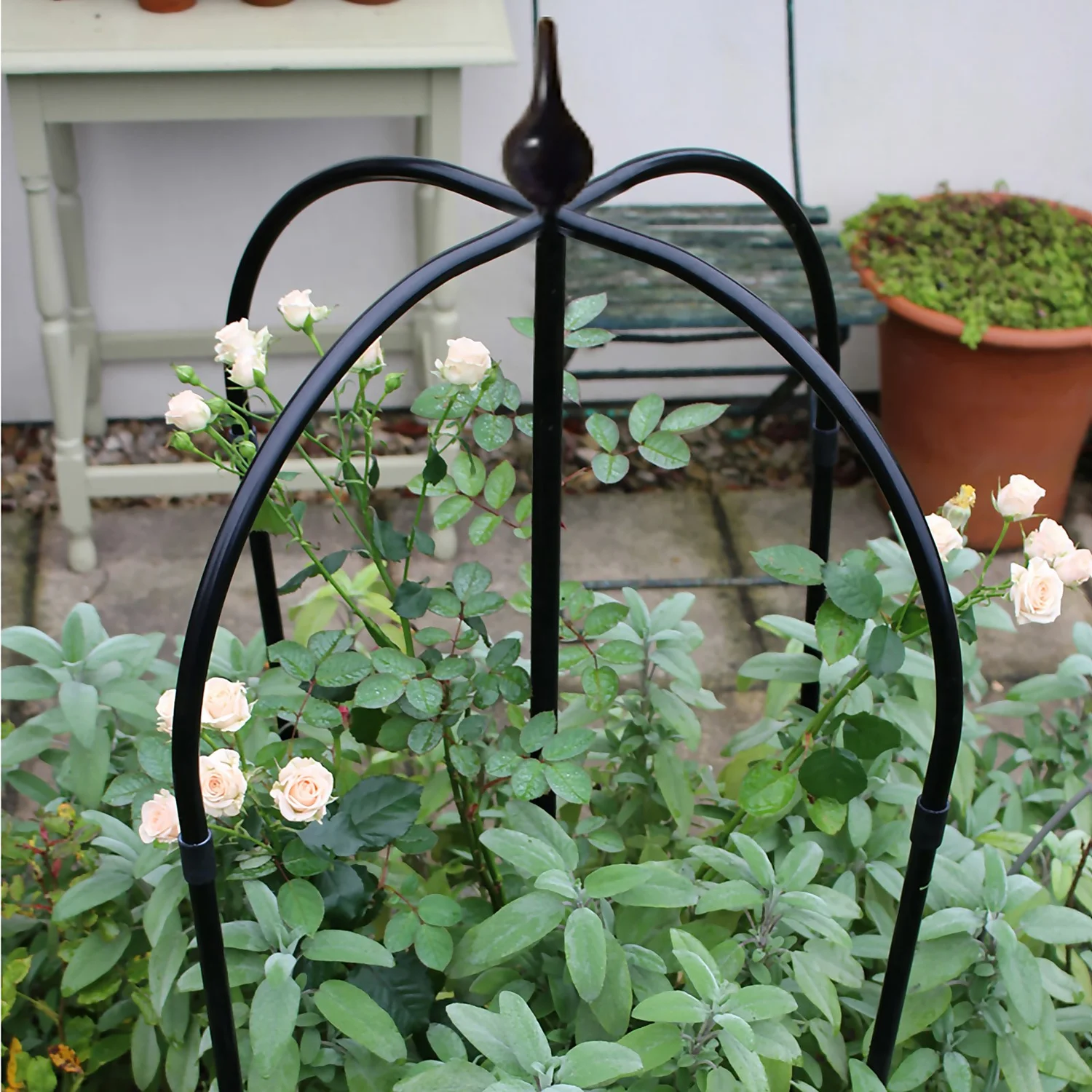 Agriframes Black Shrub Rose Support Structure - 1.3m 4 Agriframes Black Shrub Rose Support Structure - 1.3m - Image 2