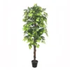 Artificial Ficus Tree - 180cm -Garden Care Specialty Shop 13944156 1045014600682835